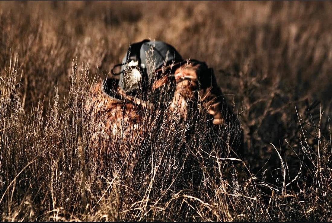 Hunting Apparel Tips for Deer and Turkey Season in the Southeast - Hunt One More