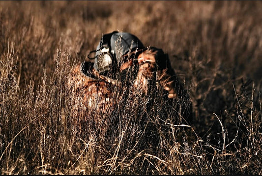 Hunting Apparel Tips for Deer and Turkey Season in the Southeast - Hunt One More